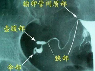 重慶送子鳥醫(yī)院