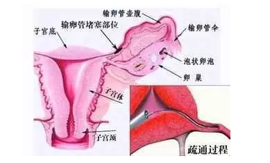 重慶送子鳥醫(yī)院