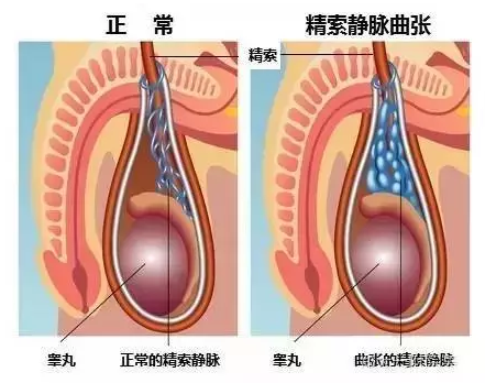 重慶送子鳥醫(yī)院