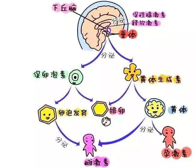 重慶送子鳥(niǎo)醫(yī)院