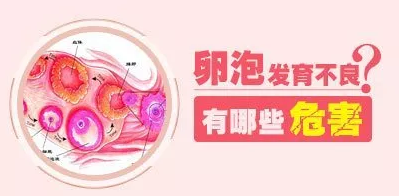 重慶送子鳥(niǎo)醫(yī)院
