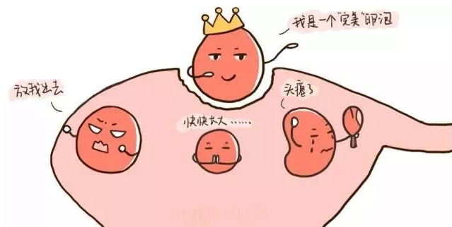 重慶送子鳥(niǎo)醫(yī)院