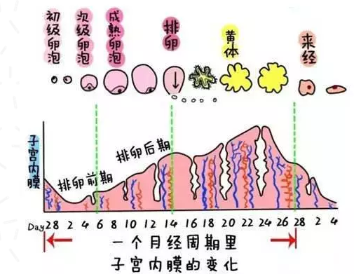 重慶送子鳥醫(yī)院